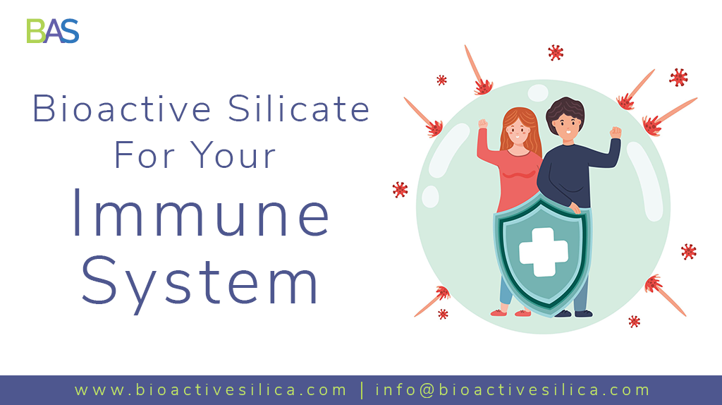 Bioactive Silicate for Your Immune System